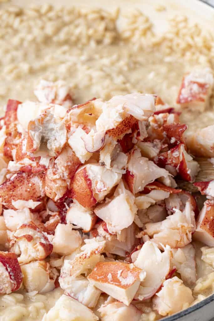 Tons of lobster cut into bite-size pieces, added ontop of creamy risotto in a pan.