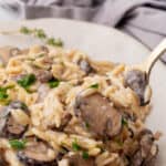 Creamy mushroom orzotto.