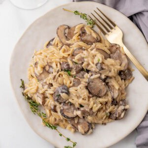 Mushroom orzotto.