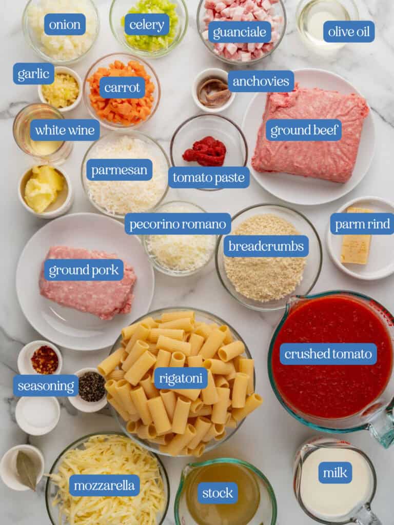 Ingredients you need to make baked bolognese.