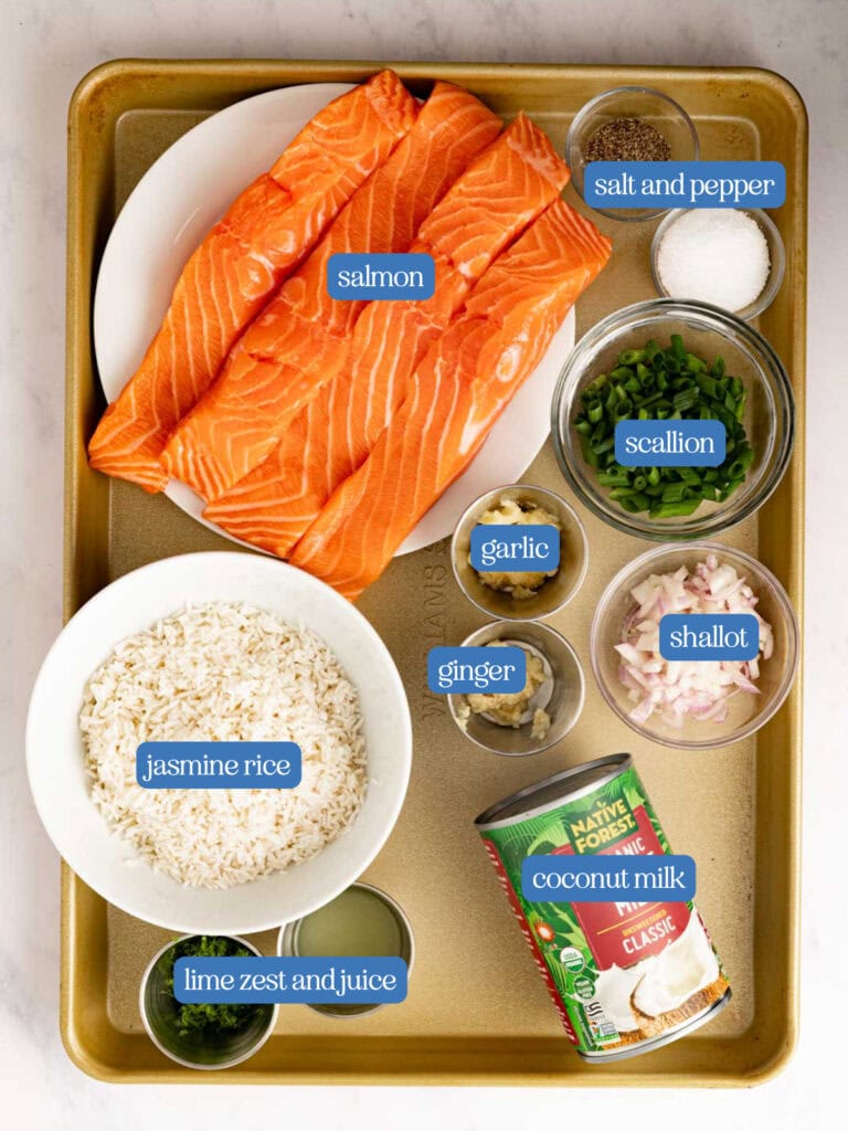 Ingredients laid out to make salmon with coconut rice.