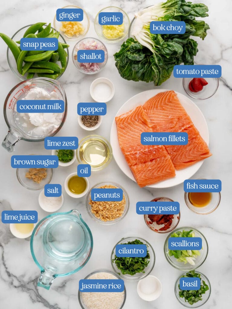 Ingredients to make salmon with a red coconut curry.